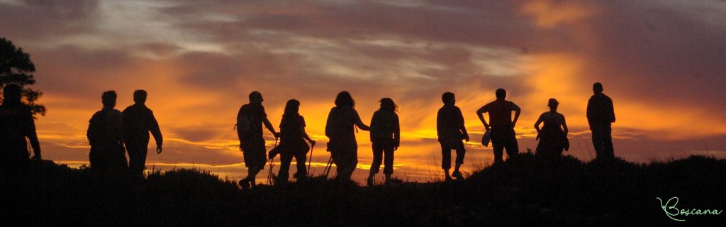 Excursió nocturna