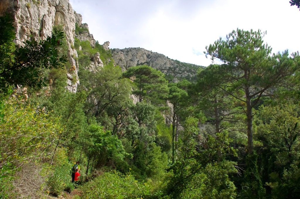 Paisatges dels Ports