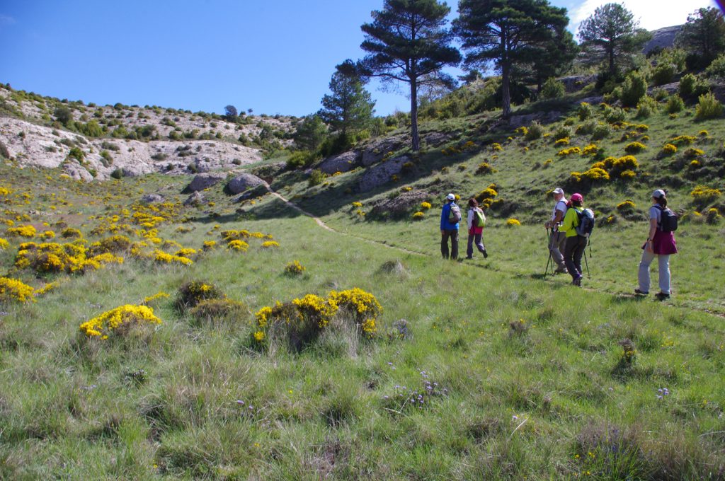 EXCURSIÓ SALUDABLE