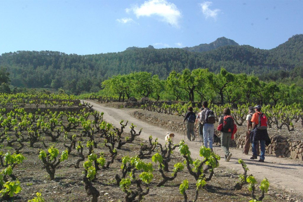 Rutes pel Priorat