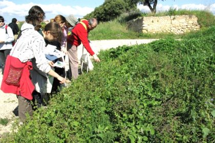 SORTIDA DE DESCOBERTA