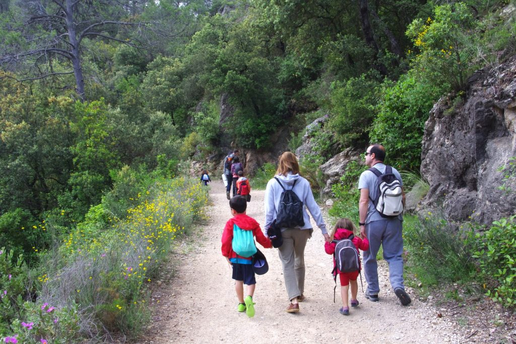 Itinerari en família per Cardó