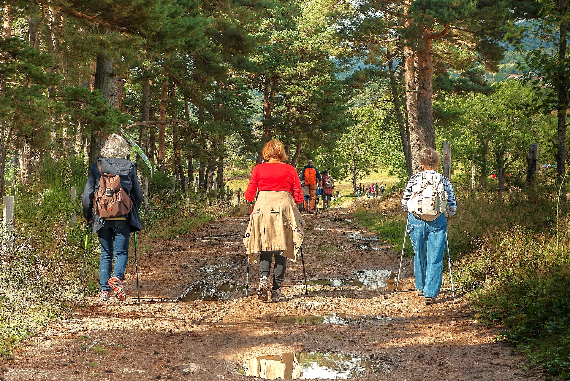 El senderisme, una activitat molt saludable