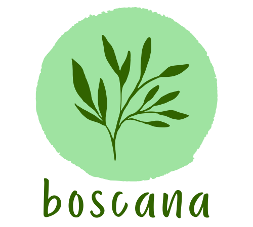 boscana · Educació ambiental i Activitats a la natura