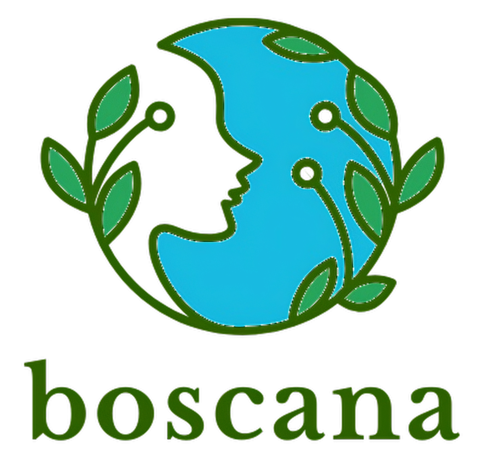 logo boscana